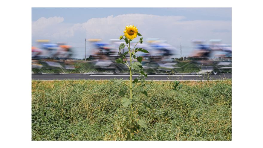 Tour de France 2024: Emozioni (italiane) a tappe e nuove geografie del ciclismo moderno.