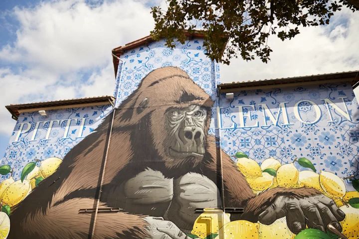 Firenze capitale di Moda, Cultura e Sport: giugno 2024 all&rsquo;insegna dei grandi eventi.